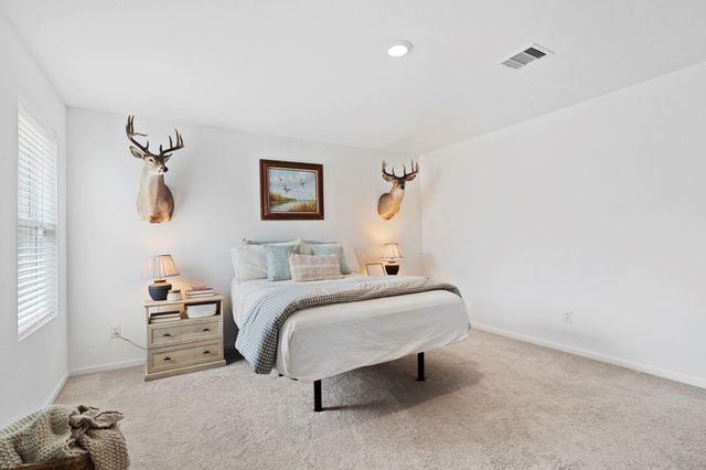 1106 Rustic Willow Drive, Beasley, TX 77417