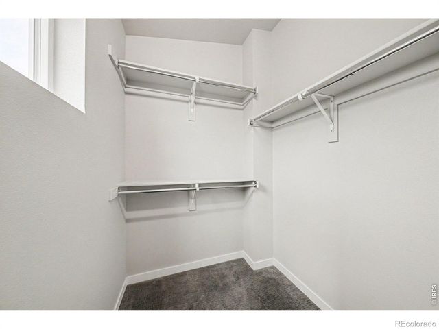 314 Green Leaf Street 8, Fort Collins, CO 80524