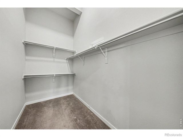 314 Green Leaf Street 8, Fort Collins, CO 80524