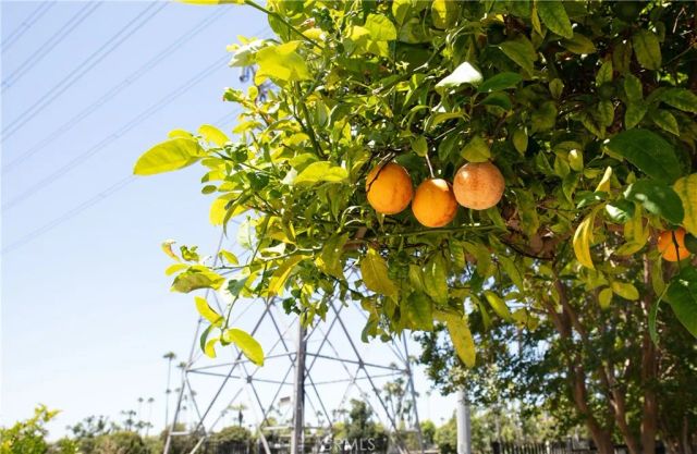 1203 W Laster Avenue, Anaheim, CA 92802