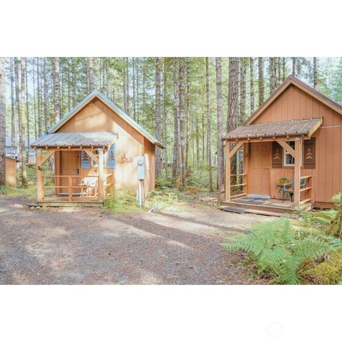 531 N Kokanee Ridge Drive, Hoodsport, WA 98548