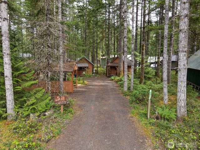 531 N Kokanee Ridge Drive, Hoodsport, WA 98548