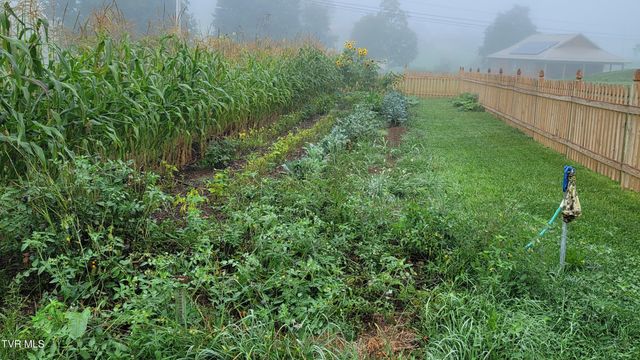 28120 Osceola Road, Abingdon, VA 24211