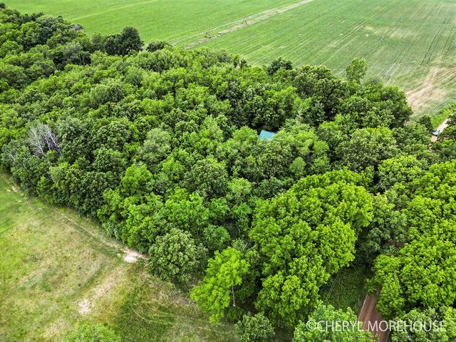 1951 N Norris Road, Middleville, MI 49333