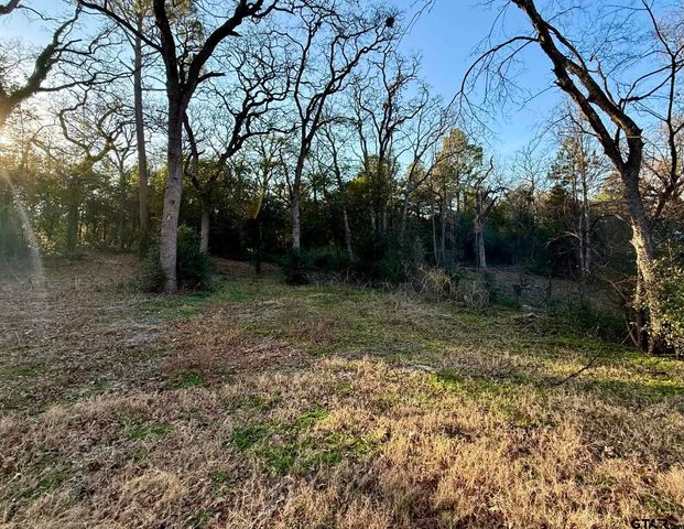 6258 Highway 37, Mineola, TX 75773