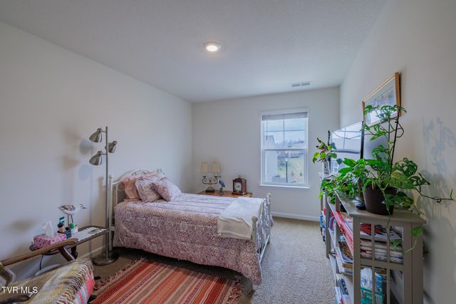 936 Pampas Drive, Jonesborough, TN 37659