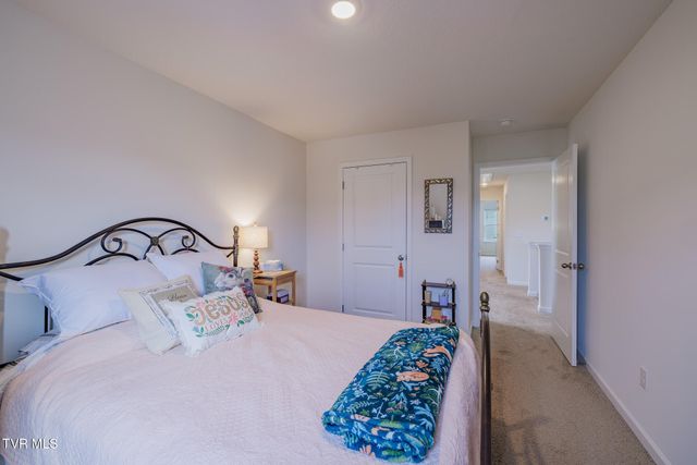 936 Pampas Drive, Jonesborough, TN 37659