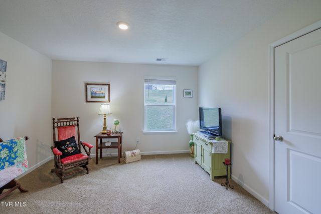 936 Pampas Drive, Jonesborough, TN 37659