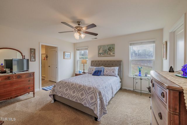 936 Pampas Drive, Jonesborough, TN 37659