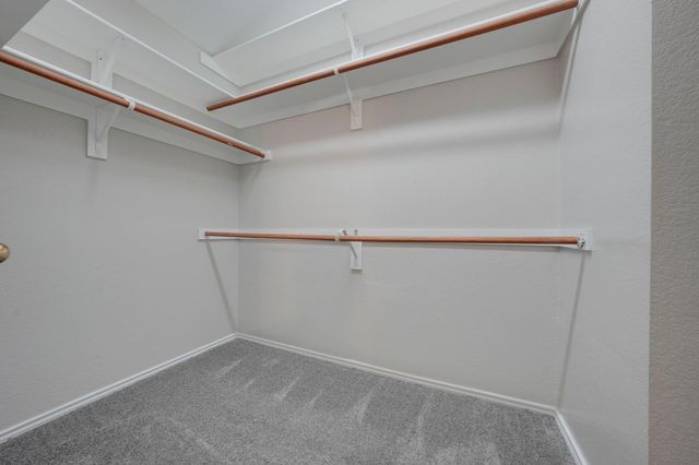 1405 Cedar Springs Drive, Allen, TX 75002