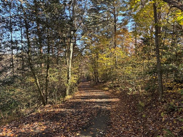 380 Hardscrabble Road, Mineral Bluff, GA 30559