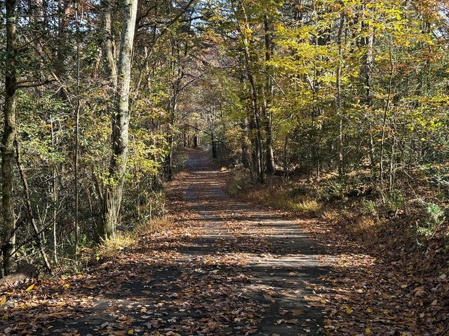 380 Hardscrabble Road, Mineral Bluff, GA 30559