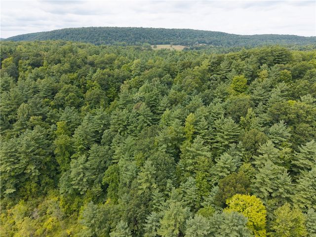 0 Poags Hole Road, Dansville, NY 14437