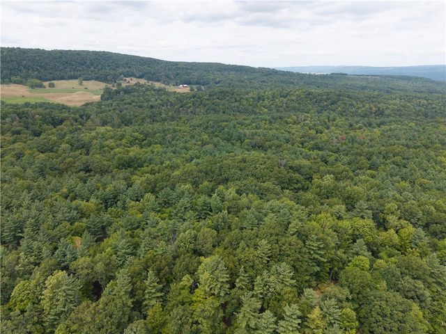 0 Poags Hole Road, Dansville, NY 14437