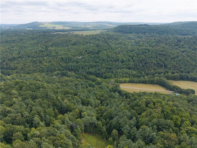 0 Poags Hole Road, Dansville, NY 14437