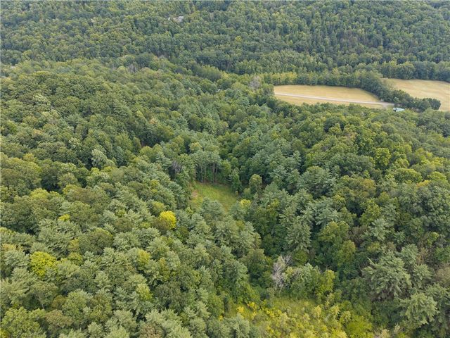 0 Poags Hole Road, Dansville, NY 14437