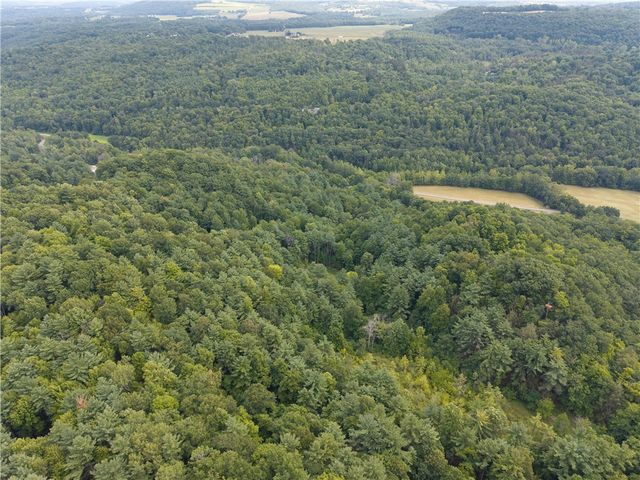0 Poags Hole Road, Dansville, NY 14437