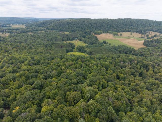 0 Poags Hole Road, Dansville, NY 14437