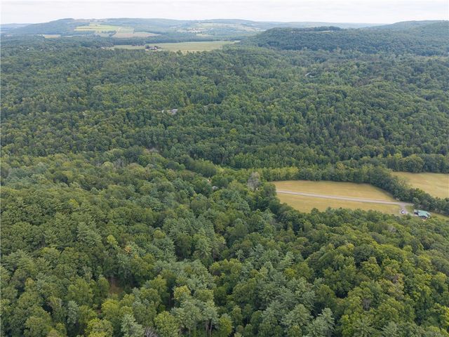 0 Poags Hole Road, Dansville, NY 14437