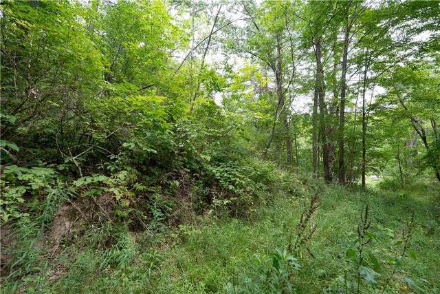 0 Poags Hole Road, Dansville, NY 14437