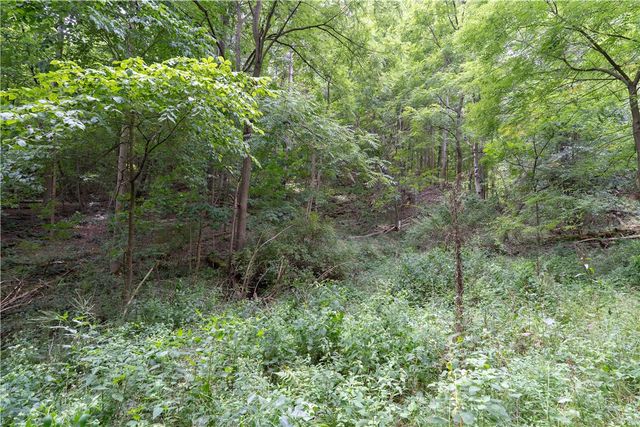 0 Poags Hole Road, Dansville, NY 14437