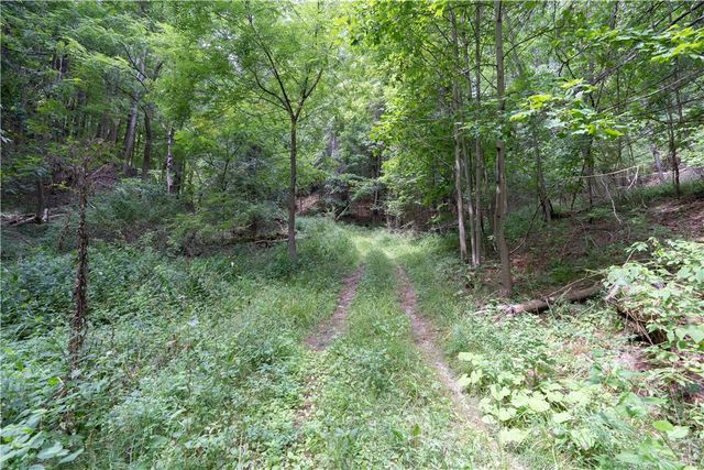 0 Poags Hole Road, Dansville, NY 14437