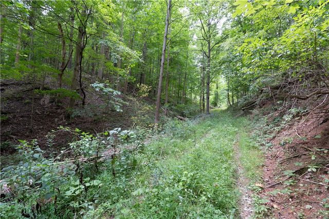 0 Poags Hole Road, Dansville, NY 14437