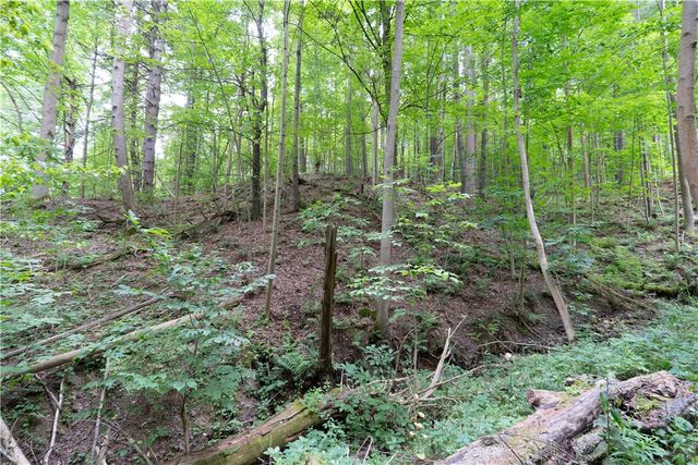 0 Poags Hole Road, Dansville, NY 14437