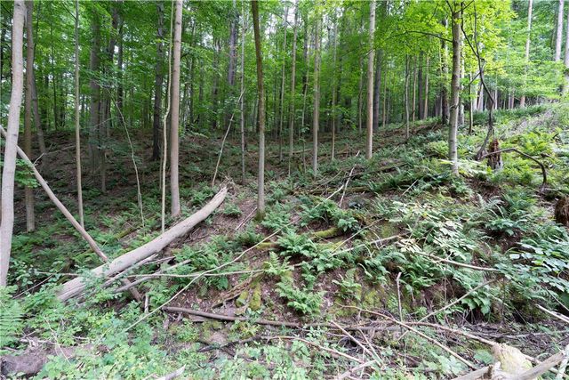 0 Poags Hole Road, Dansville, NY 14437