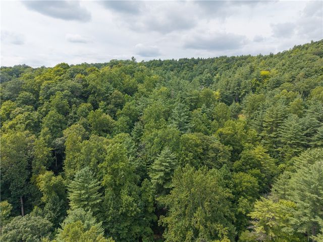 0 Poags Hole Road, Dansville, NY 14437