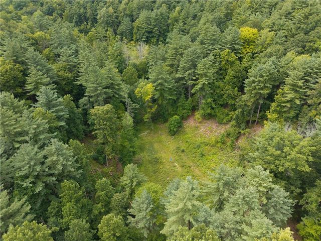 0 Poags Hole Road, Dansville, NY 14437