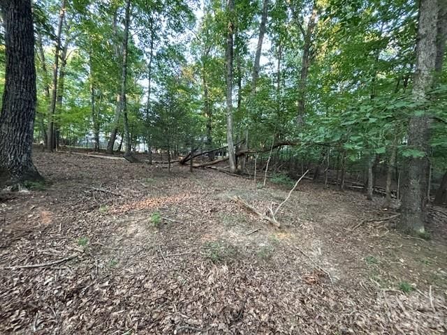 00 Johnson Circle, Lake Lure, NC 28746