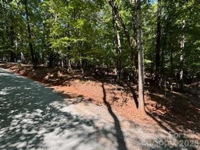 00 Johnson Circle, Lake Lure, NC 28746