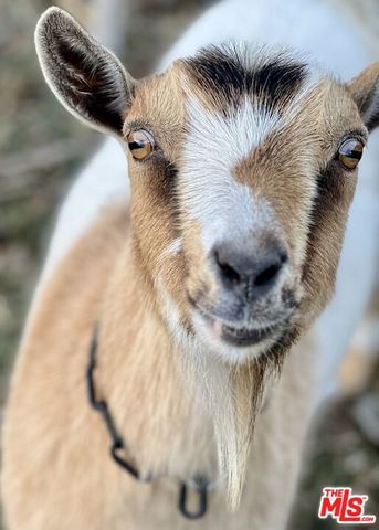 5949 Bonsall Drive, Malibu, CA 90265