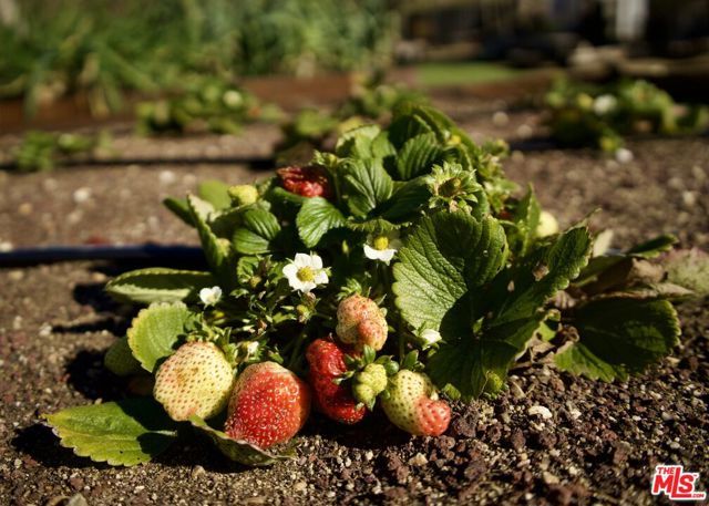 5949 Bonsall Drive, Malibu, CA 90265