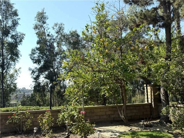 26924 Marbella, Mission Viejo, CA 92691