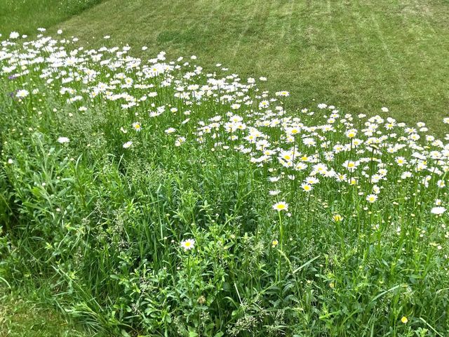 192 Prescott Lane, Winchester, KY 40391