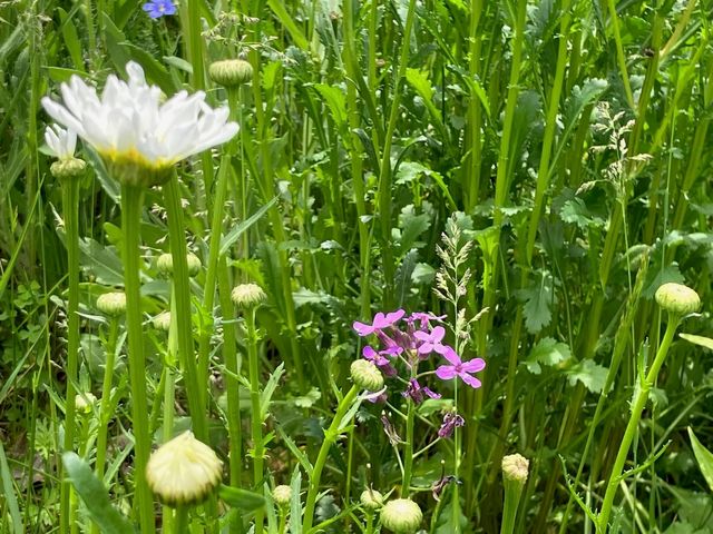 192 Prescott Lane, Winchester, KY 40391