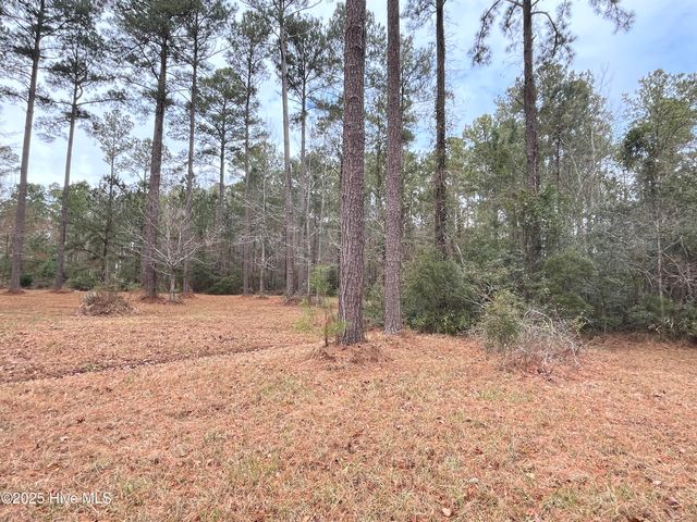 464 Dawson Creek Boulevard, Oriental, NC 28571