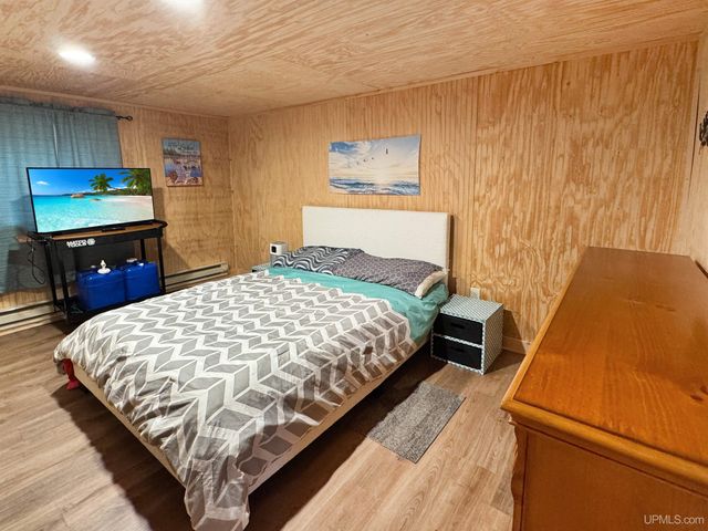 234 W Lake Emily Road, Iron River, MI 49935