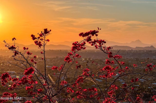 8750 N Glenhurst Place, Oro Valley, AZ 85704