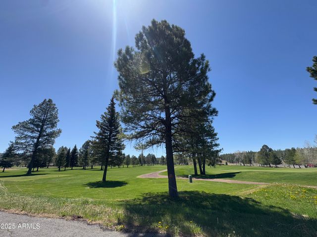 17410 S PEYOTE Drive, Munds Park, AZ 86017