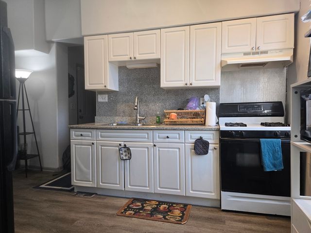 7204 S Rhodes Avenue, Chicago, IL 60619