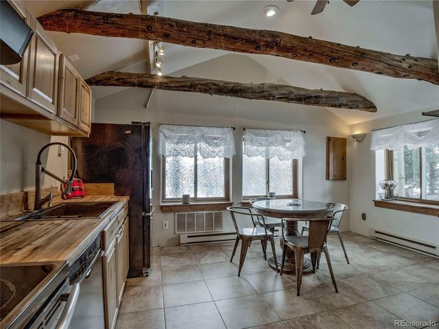 46 Singleton Road, Alma, CO 80420