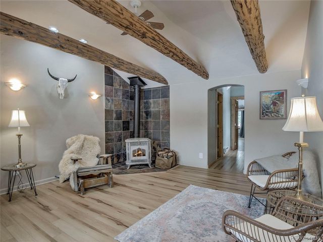 46 Singleton Road, Alma, CO 80420
