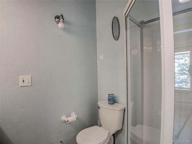 46 Singleton Road, Alma, CO 80420