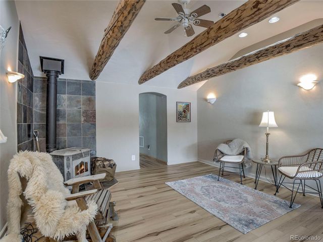 46 Singleton Road, Alma, CO 80420