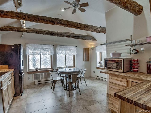 46 Singleton Road, Alma, CO 80420