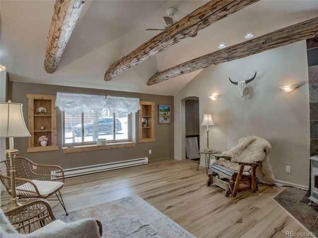 46 Singleton Road, Alma, CO 80420