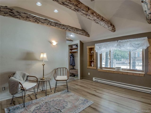 46 Singleton Road, Alma, CO 80420